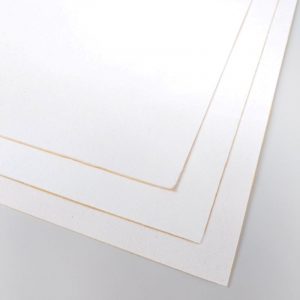EV-FP0.6, EV-FP1.0