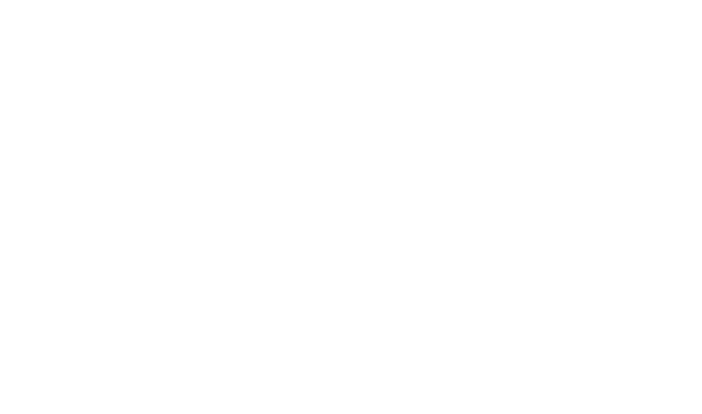 brightview logo white