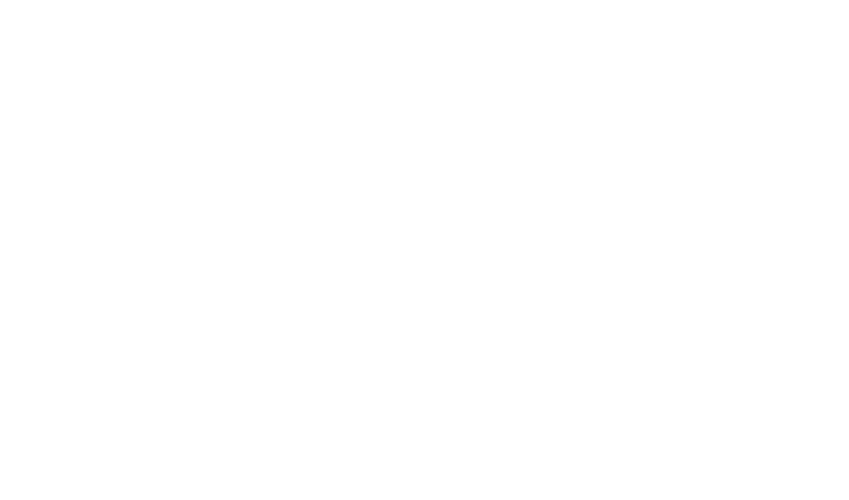 nitto logo white