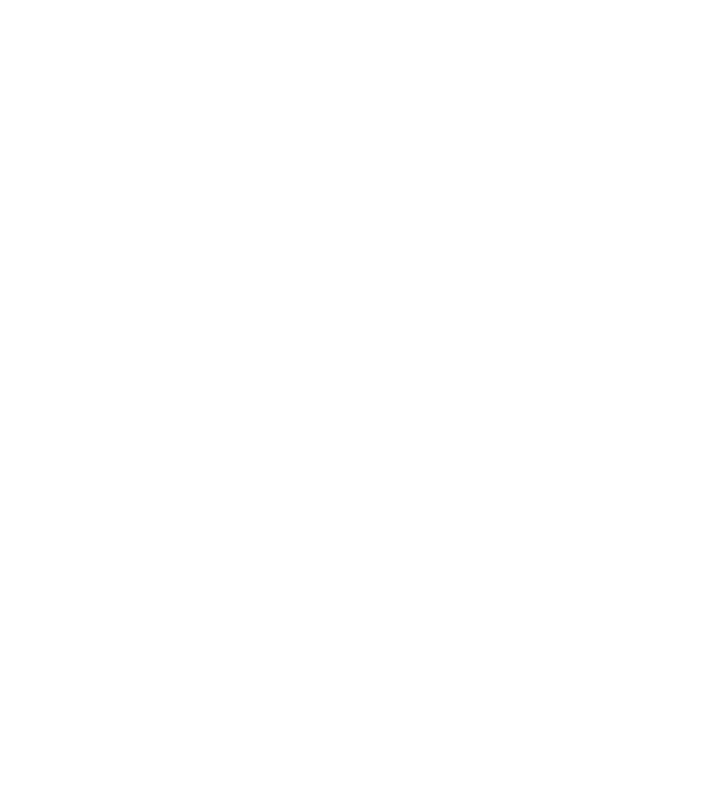 cyber essentials logo
